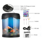 GlowFish™ Desk Aquarium Lamp